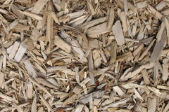 biomass boilers Woundale